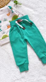 بلوز شلوار پسرانه دایناسور - Image 4