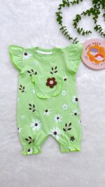 رامپر سبز بابونه